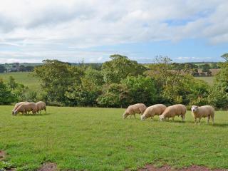 Shepherds Lodge - Lamphey - 2