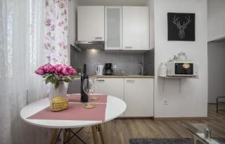 Apartments with parking space Rovinj - 24549 - 2