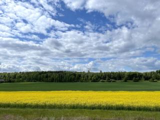 Country House & Blue Lagoon Holiday - Ekerö - 9
