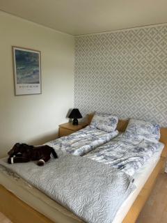 Country House & Blue Lagoon Holiday - Ekerö - 3
