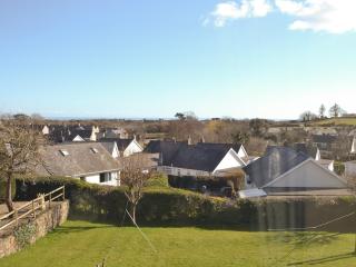 Fron Erch Cottages - 2711 - Llanarmon - 2
