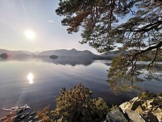 Limetrees - Keswick - 1