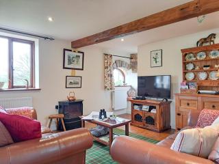 Bryn Dedwydd Cottage - Llanferres - 9