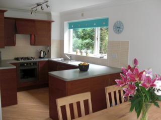 Lakeview Cottage - Bowness-on-Windermere - 7