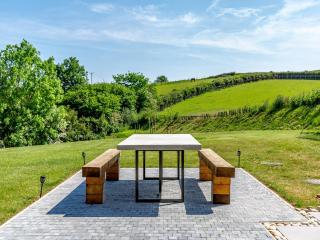 The Black Barn - Marldon - 9
