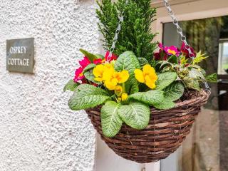 Osprey Cottage - Bassenthwaite - 4