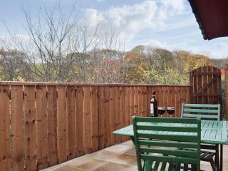 Pheasant Lodge - Staithes - 1