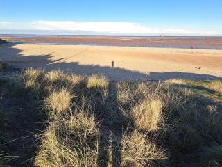 Beach Tonic - Humberston - 2