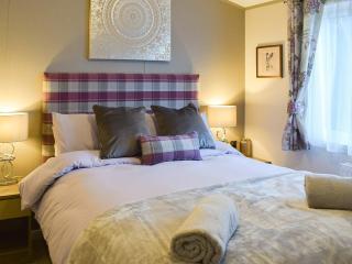 Riverside Lodge - Auchterarder - 1