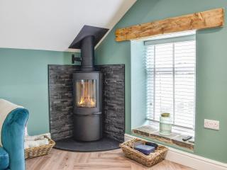Barn Owls Nest-Uk39432 - Dronfield - 5