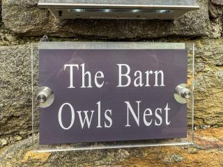 Barn Owls Nest-Uk39432 - Dronfield - 1