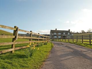 Forge Cottage - 28221 - Shaldon - 1