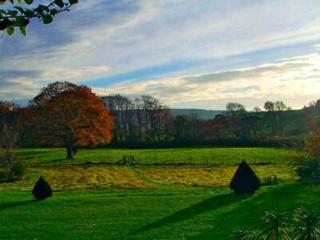 Stepping Gate Cottage - Scalby - 3