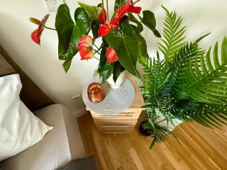 The Blue Haven - Calm and Cozy Stay - Cork - 2