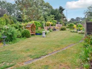The Willows - Chardstock - 3