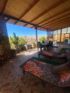 Les jardins de Safi - - 5