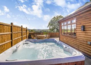 Heart Of Wales Lodges - Penybont - 6