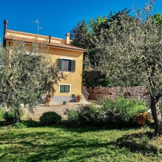 Nonna Regina, house in Umbria - Collemancio - 0