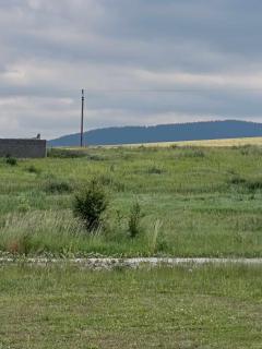 Cozy Tiny Cabin Meadow - 9