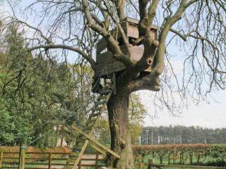 The Bothy House - Berwick Hill - 1