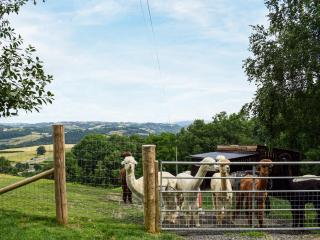 Moonlight View - Uk35187 - Newtown - 2