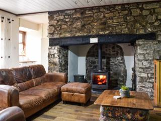 Green Castle - Carmarthen - 6