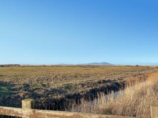 Eight Byre - Uk48913 - Allonby - 7