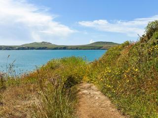 Carn Llidi Cottage - St. Davids - 1