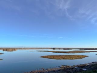 Normandy - Wyberton - 1