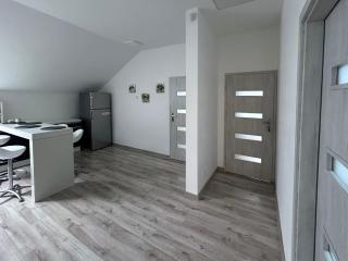 AP Apartament - Cracovia - 6