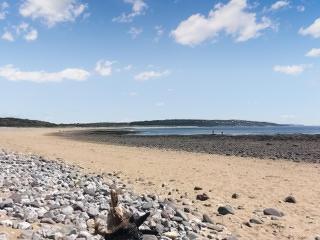 Secret Spot - Newton - 2
