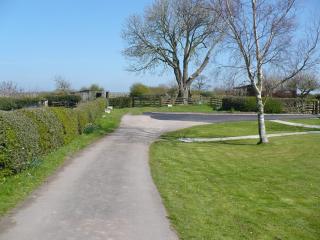 Orchard Cottage - Liverton - 1