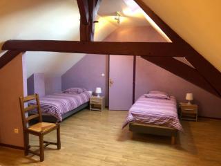 gîte d'Annie zoo Beauval - Noyers-sur-Cher - 6