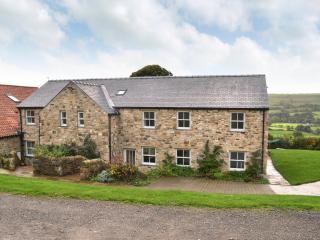 Raby Cottage-27764 - Wolsingham - 2