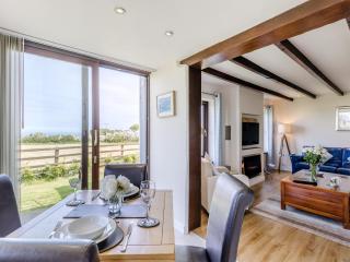 Bay View Cottage - Llanon - 3