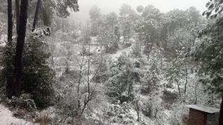 Ultimate Time Homestay, Stay and Party Point in Hills of Dagshai - Dagshai - 8