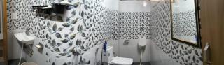 Ultimate Time Homestay, Stay and Party Point in Hills of Dagshai - Dagshai - 2