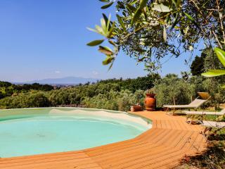 Tuscan Farmhouse in the Countryside - Serravalle Pistoiese - 0