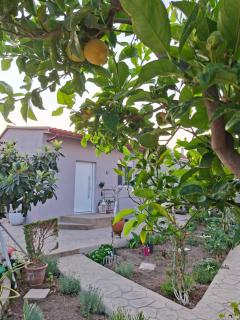 DM Studios Near Athens Airport - Artemida - 4