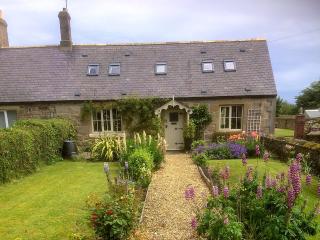 Alncroft- 28486 - Boulmer - 0