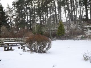 West End Cottage - Carrbridge - 1