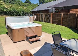 Heartsease Lodges - Llanddewi Ystradenny - 4