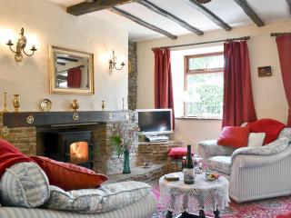 Forget Me Not Cottage - New Radnor - 8