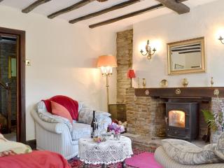 Forget Me Not Cottage - New Radnor - 7