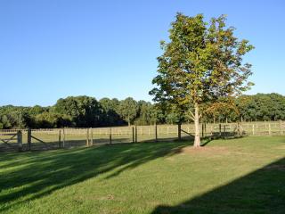 Maplehurst Barn Stables - Staplehurst - 2