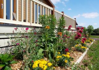 Otters Mead Boutique Lodges - Beetley - 3