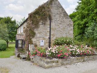 Mill Cottage - Rievaulx - 3