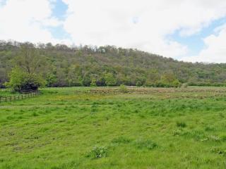 Mill Cottage - Rievaulx - 1