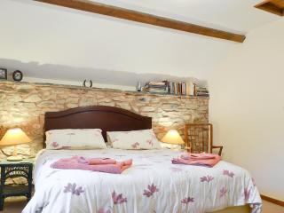 The Old Smithy - Llanbadarn-fynydd - 4