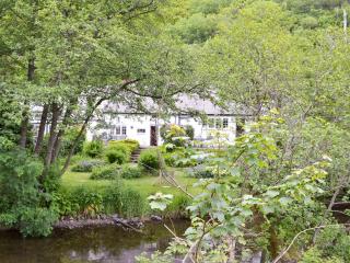 The Old Smithy - Llanbadarn-fynydd - 8